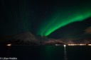 Norway_aurora_lilian-15