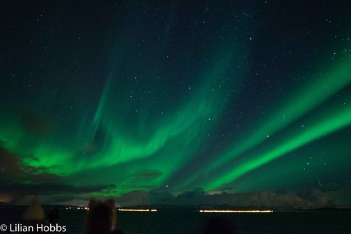 Norway_aurora_lilian-8