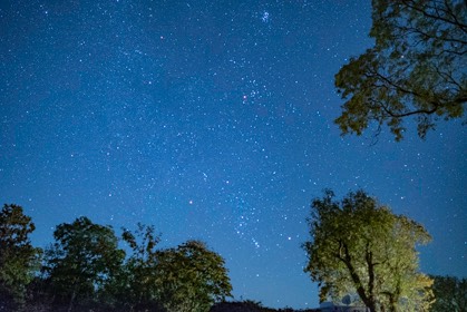 Orion_corfe