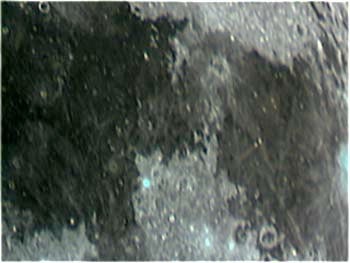 Lunar_031