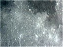 Lunar_064