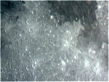 Lunar_064