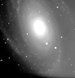 M081