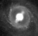 M095