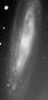 M098