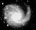 M099