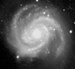 M100