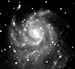 M101