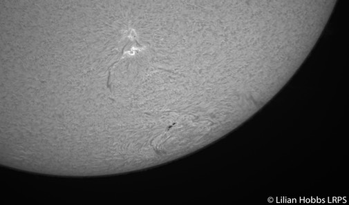 Sun Ha